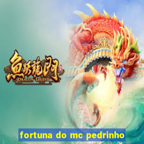 fortuna do mc pedrinho