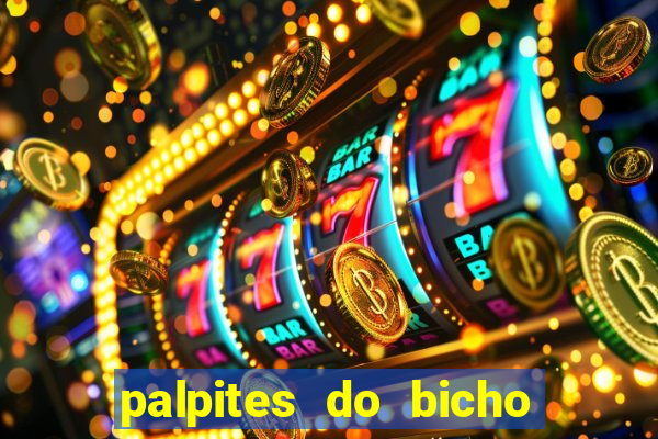 palpites do bicho no celular