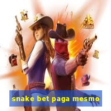 snake bet paga mesmo