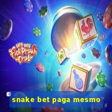 snake bet paga mesmo