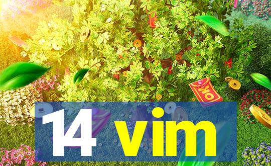 14 vim