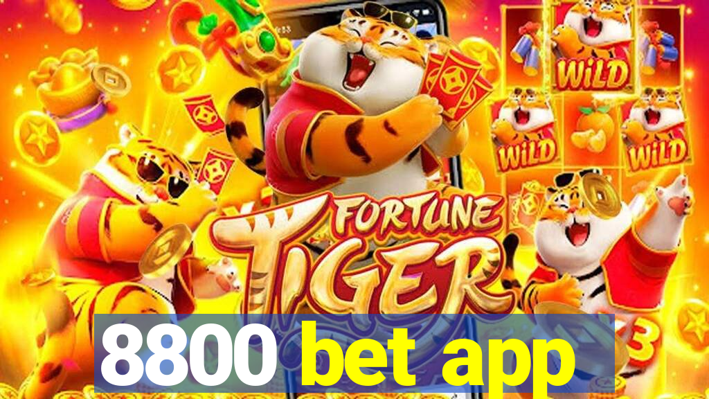 8800 bet app