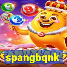 spangbqnk