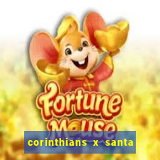 corinthians x santa cruz ao vivo hd