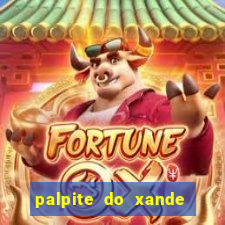 palpite do xande de hoje