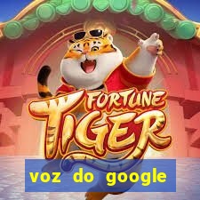 voz do google tradutor homem