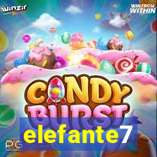 elefante7