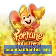 acompanhantes em porto velho