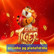 ursinho pg plataforma