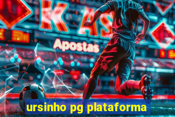 ursinho pg plataforma