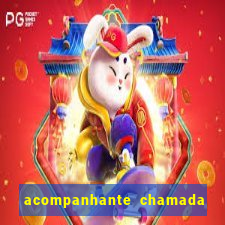 acompanhante chamada de video