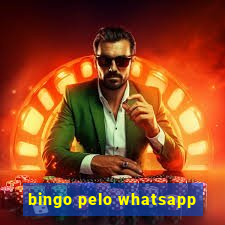 bingo pelo whatsapp