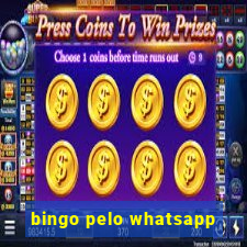 bingo pelo whatsapp