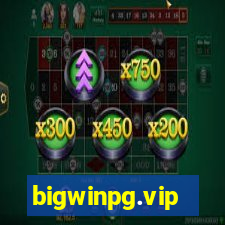 bigwinpg.vip