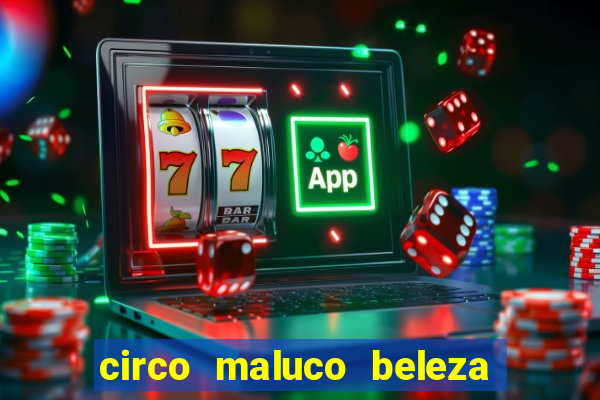 circo maluco beleza recife circo maluco