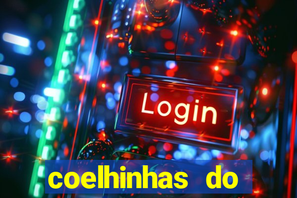 coelhinhas do brasil recife