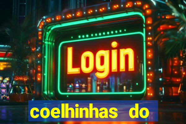 coelhinhas do brasil recife