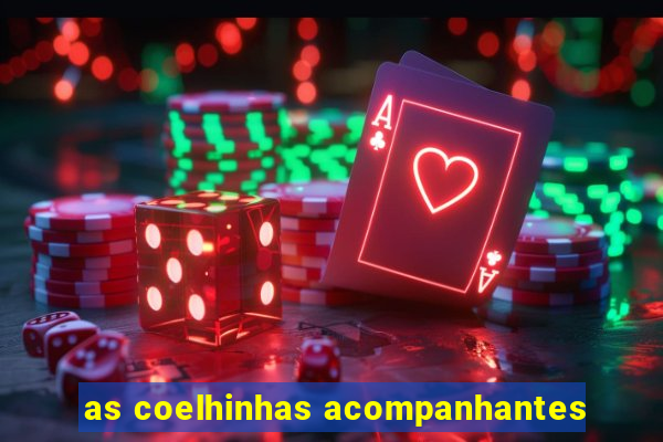 as coelhinhas acompanhantes