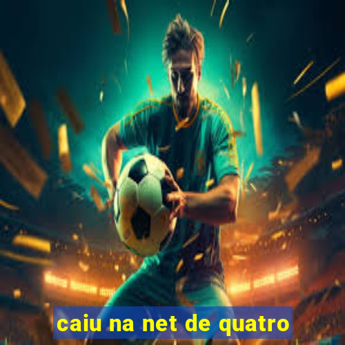 caiu na net de quatro