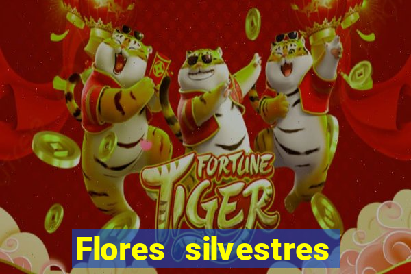 Flores silvestres brasileiras 25