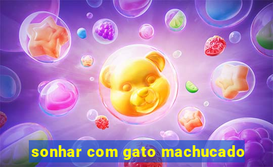 sonhar com gato machucado