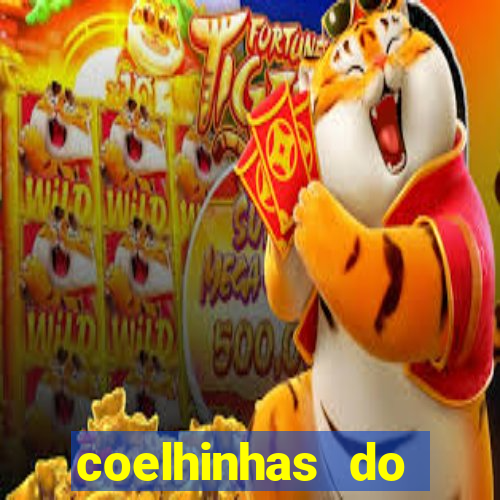 coelhinhas do brasil site