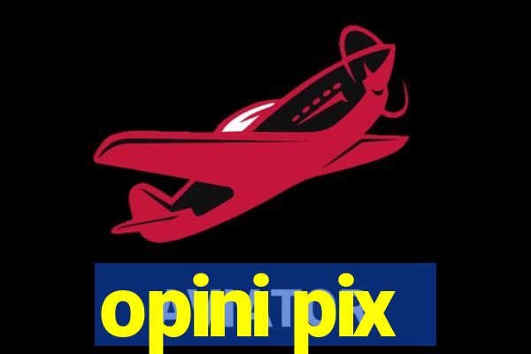 opini pix