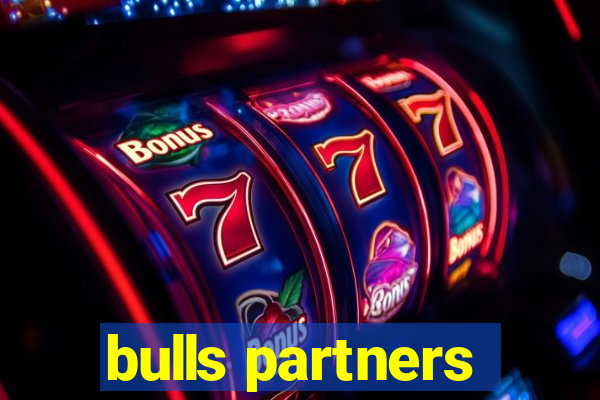 bulls partners