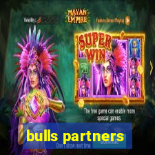 bulls partners