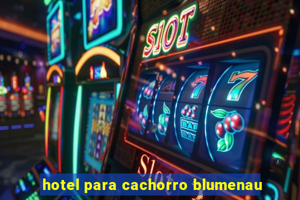 hotel para cachorro blumenau