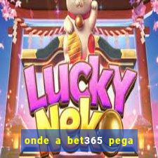 onde a bet365 pega as estatisticas