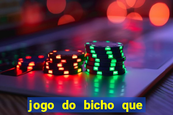 jogo do bicho que paga no pix