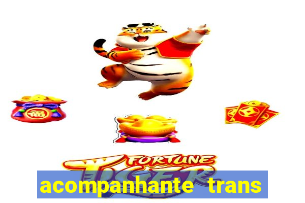 acompanhante trans baixada fluminense