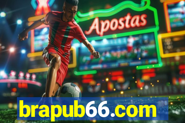 brapub66.com