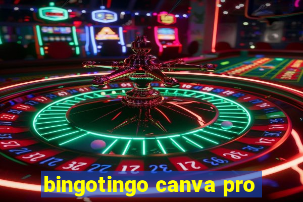 bingotingo canva pro