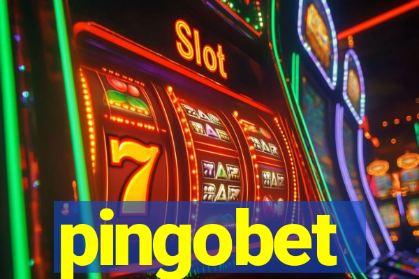 pingobet