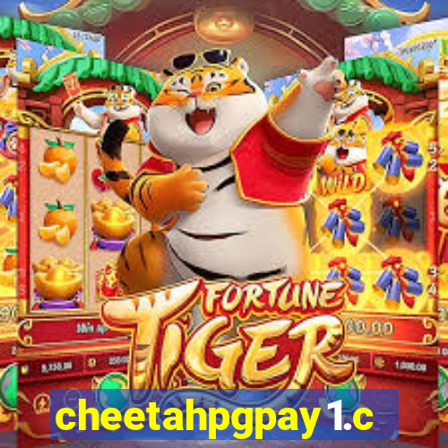 cheetahpgpay1.com