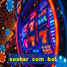 sonhar com boi branco jogo do bicho