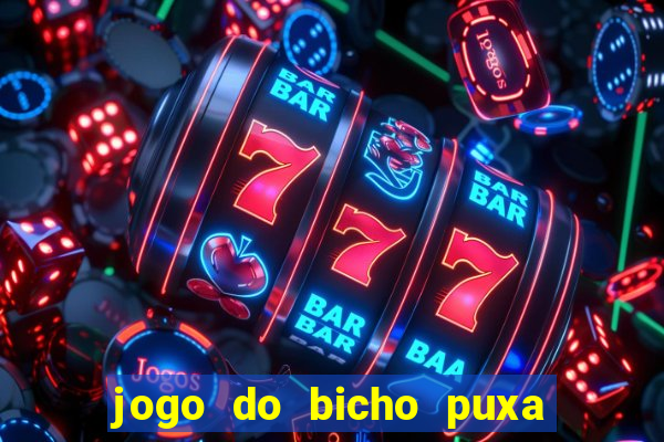 jogo do bicho puxa de dona maria