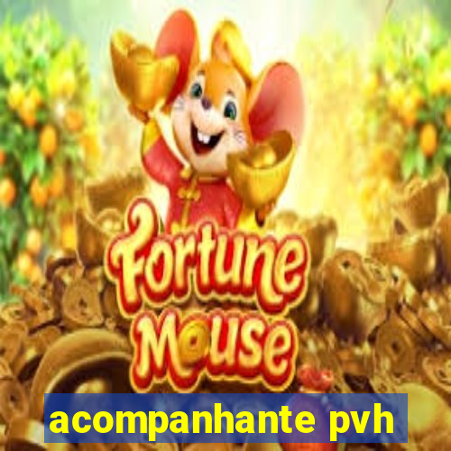 acompanhante pvh