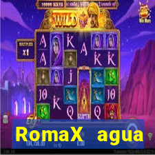 RomaX agua sanitaria fispq agua sanitaria romax