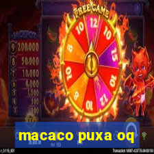 macaco puxa oq