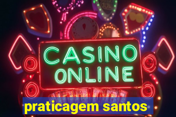 praticagem santos