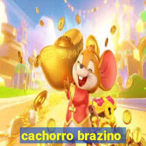 cachorro brazino