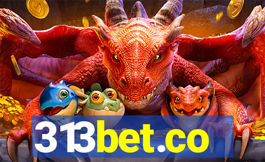 313bet.co