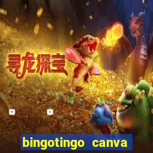 bingotingo canva pro gratis