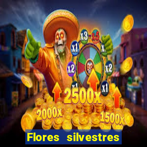 Flores silvestres brasileiras brasileiras flores silvestres nomes e imagens