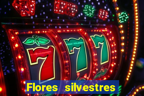 Flores silvestres brasileiras brasileiras flores silvestres nomes e imagens