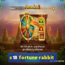 c18 fortune rabbit