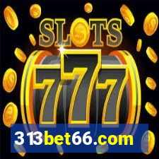 313bet66.com